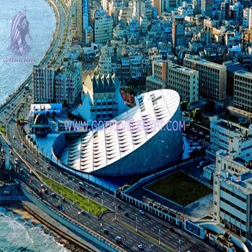 Library-of-Alexandria-from-air-view-01