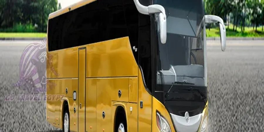 Mercedes Bus MCV 600