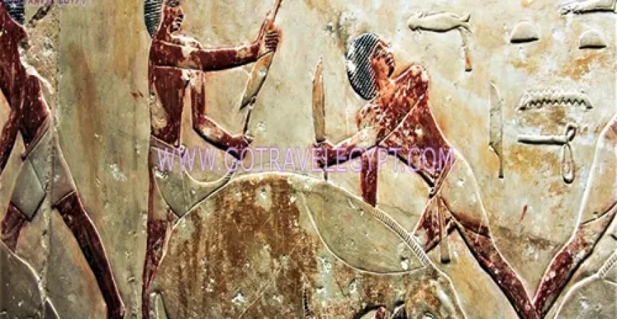 Best Giza tour to Pyramids and Sakkara and Memphis private day tour