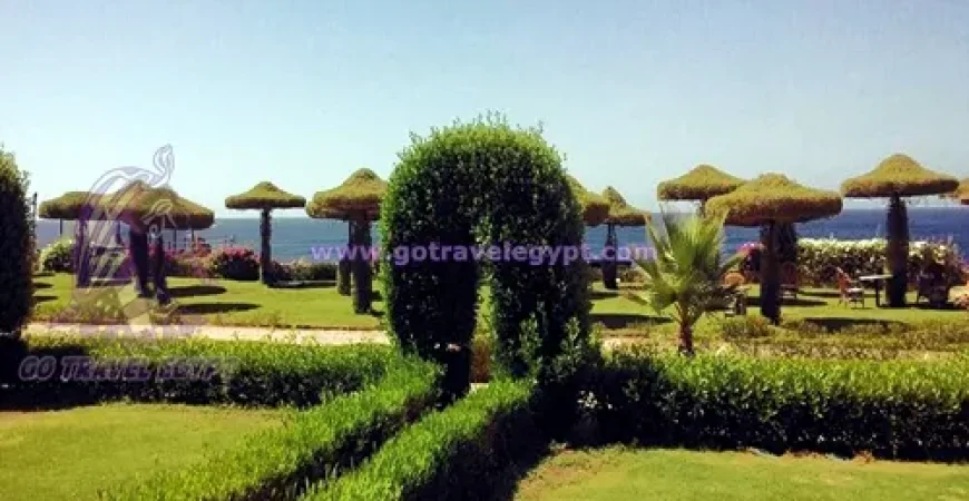 Siva Sharm Resort Couples and Families Only