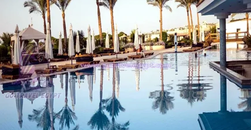 Siva Sharm Resort Couples and Families Only