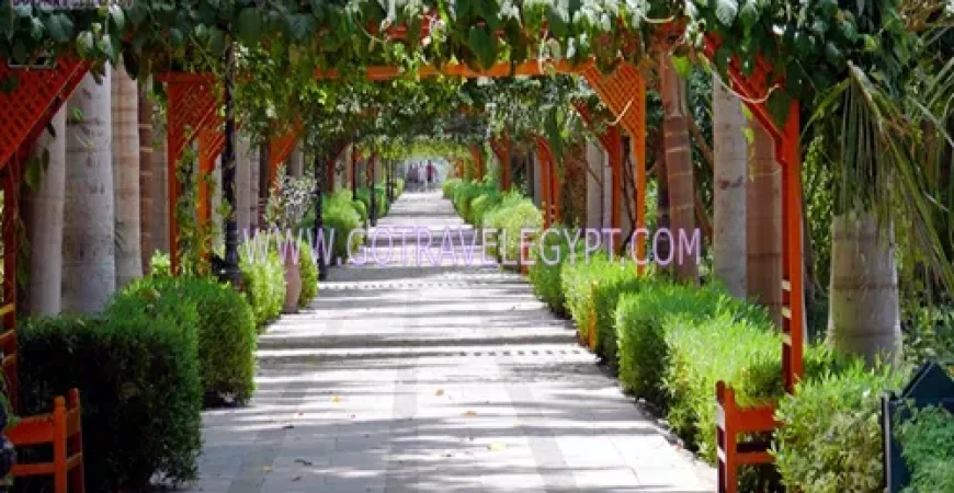 Botanical Garden in Aswan