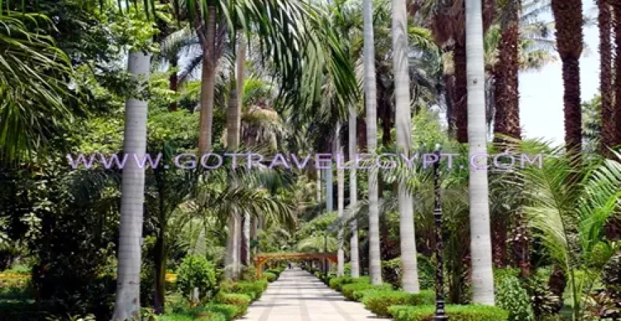 Botanical Garden in Aswan