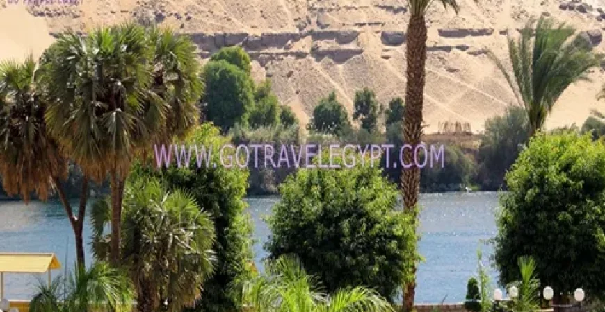 Botanical Garden in Aswan