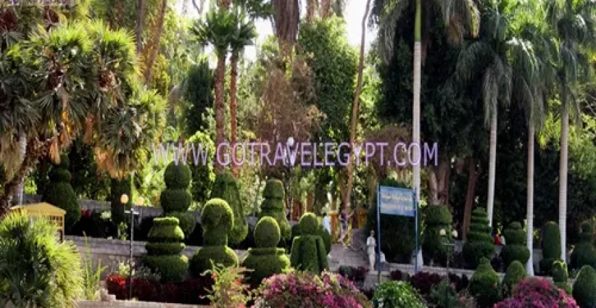 Botanical Garden in Aswan
