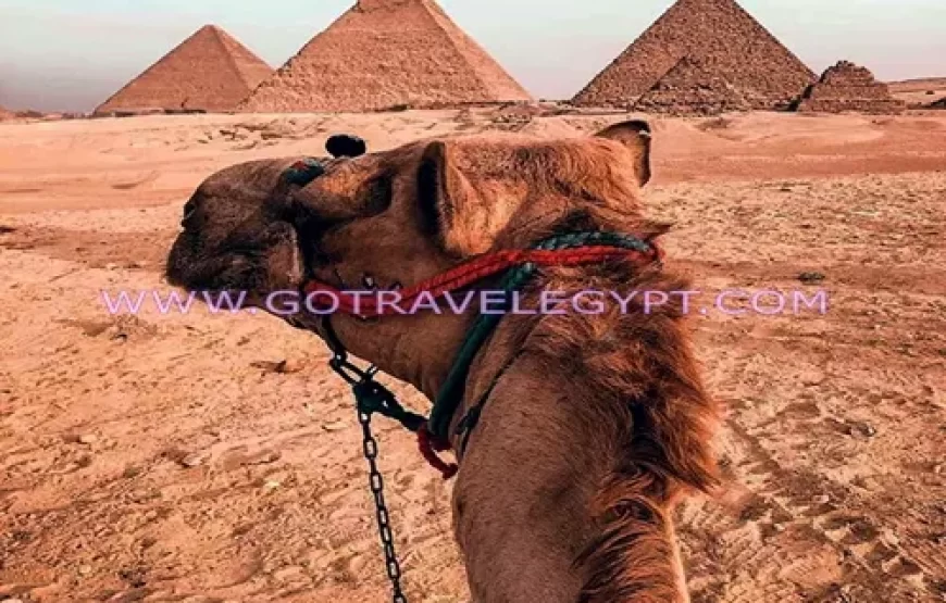 ‎11 Days holiday from Hurghada to ‎Nile Cruise and Cairo