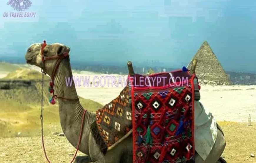 ‎7 Days Egypt holiday to Cairo and ‎Sharm ElSheikh package