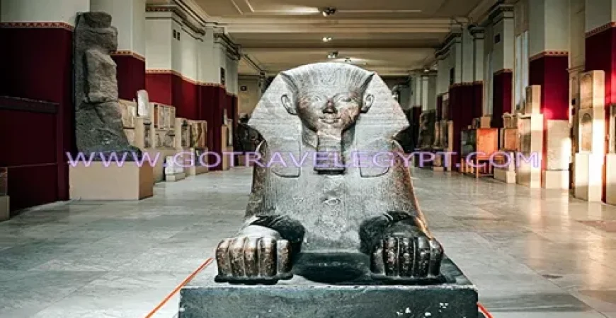 ‎10 Days ‎for gulf countries arriving Assiut and Alexandria