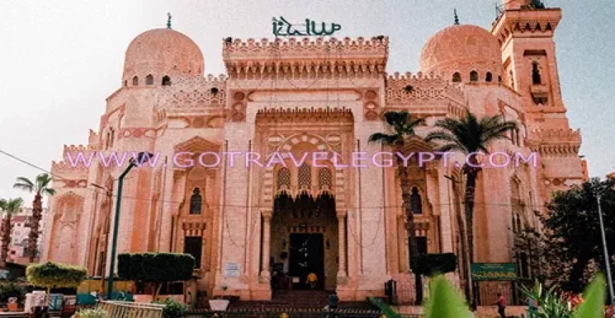 2 Days Tour from Cairo to Alexandria and Alamein ‎WWII