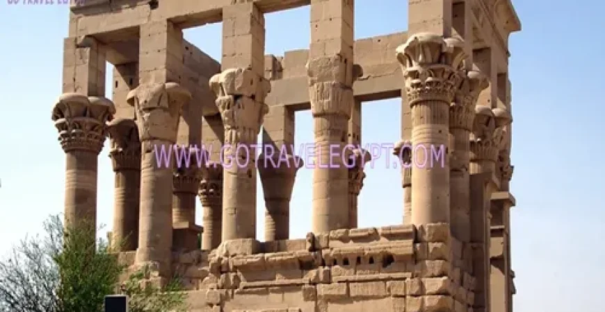 ‎10 Days ‎for gulf countries arriving Assiut and Alexandria