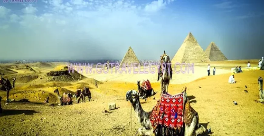 ‎13 Days Egypt Tour Cairo ‎Alexandria Sharm and Nile Cruise